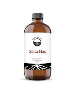 SILICA MAX (250ml)